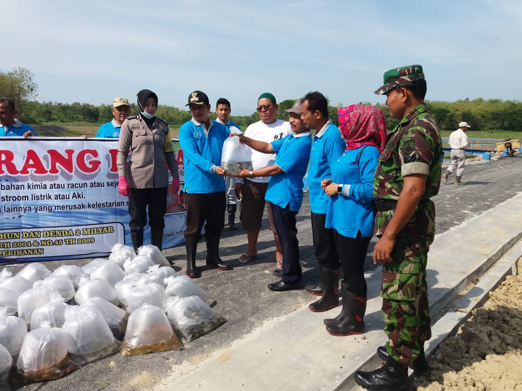 TEBAR BENIH IKAN DI WADUK SANGGEH