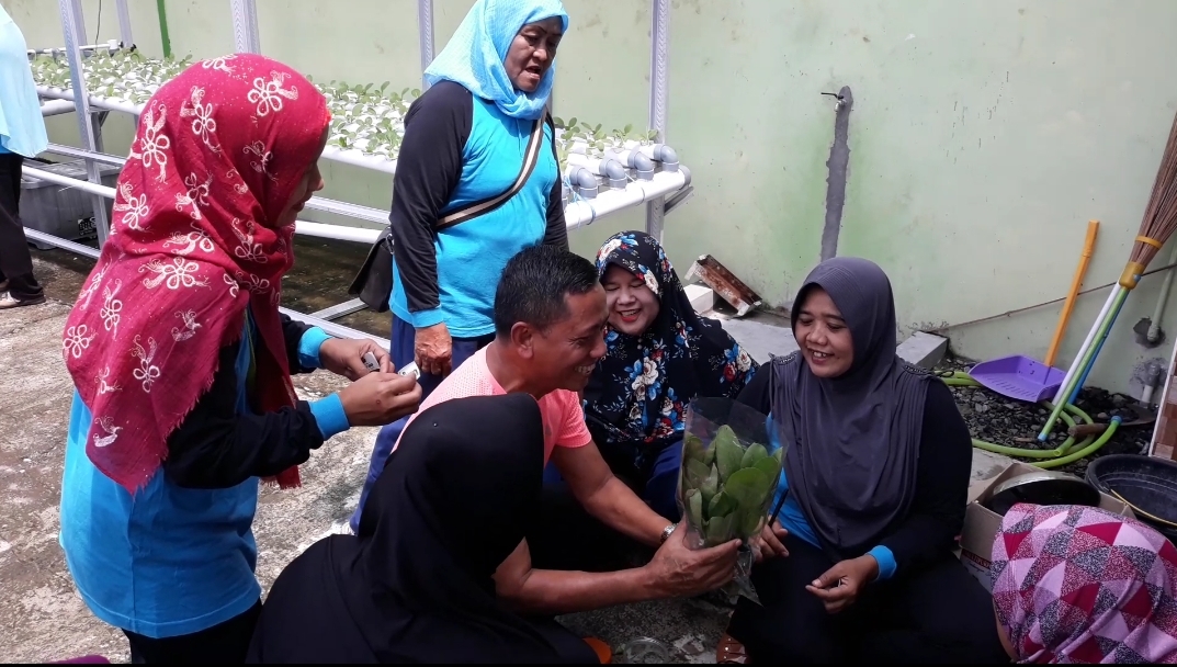 KADISPERMADES PUN TURUT MENGEMAS SAYURAN HIDROPONIK MUKTI RAHAYU TAMBIREJO