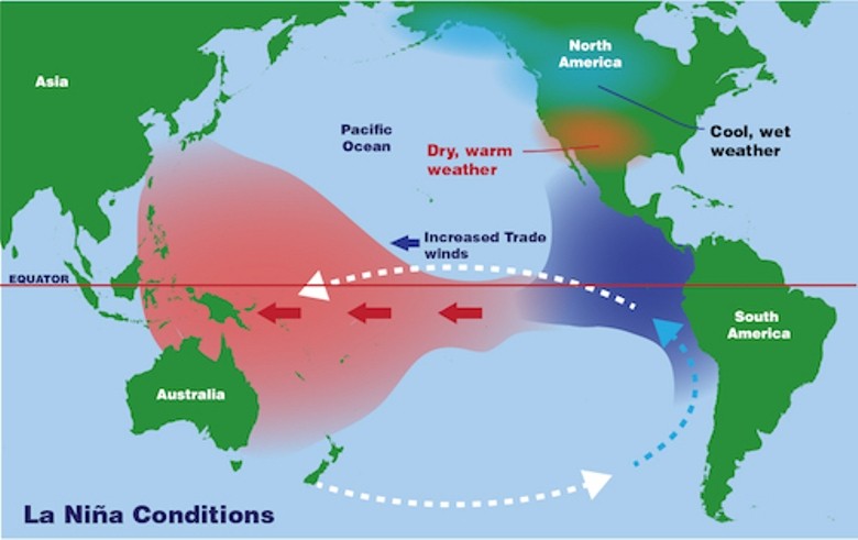 La Nina Sedang Berkembang di Samudra Pasifik, Waspadai Dampaknya di Indonesia