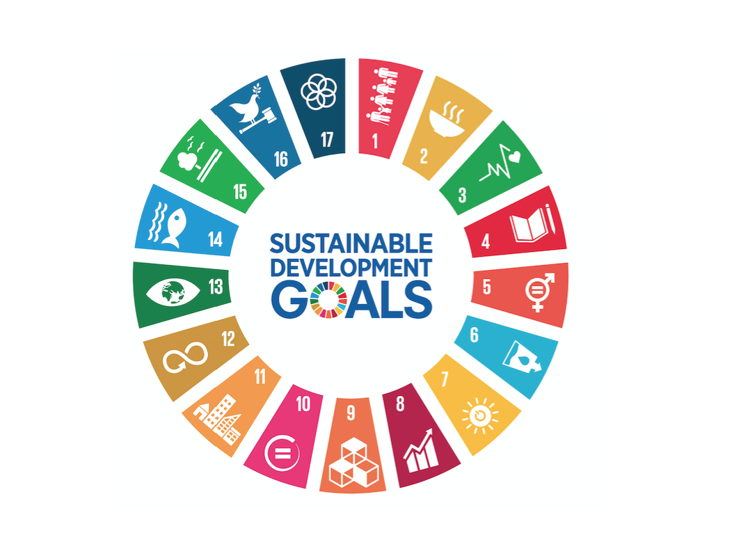 SEKILAS TENTANG SDGs DESA